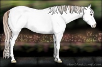 Horse Color:White Spotted Liver Chestnut Ice 