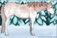 Horse Color:Watercolor Chestnut Ice Sabino Splash 