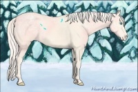 Horse Color:Cremello Ice Appaloosa 
