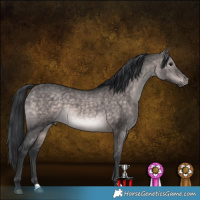 Horse Color:Platinum Brown Dun 