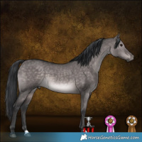 Horse Color:Platinum Brown Dun