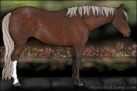 Horse Color:Silver Brown 