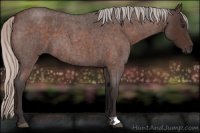 Horse Color:Silver Brown Roan 