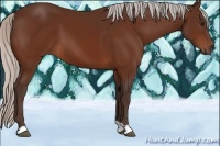 Horse Color:Silver Brown 