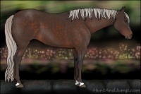 Horse Color:Silver Brown