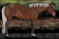 Horse Color:Silver Brown Appaloosa