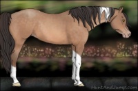 Horse Color:Sable Champagne Tobiano Rabicano