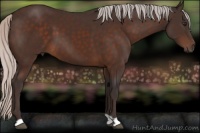 Horse Color:Silver Brown 