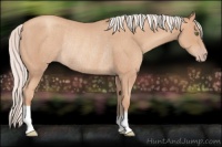 Horse Color:Silver Classic Champagne Rabicano 