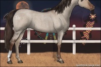 Horse Color:Liver Red Dun Roan 