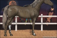 Horse Color:Chocolate Palomino Mushroom 