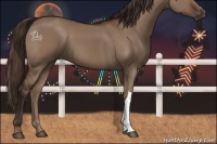 Horse Color:Liver Red Dun 