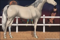 Horse Color:Cremello