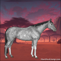 Horse Color:Black Ice Tobiano