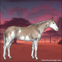 Horse Color:Silver Grullo Splash