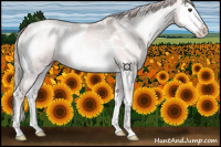 Horse Color:Platinum Gold Champagne Onyx Splash Tobiano