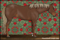 Horse Color:Gray Chestnut