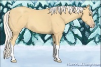 Horse Color:Silver Amber Cream Champagne Tobiano