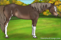 Horse Color:White Spotted Liver Chestnut Mushroom 