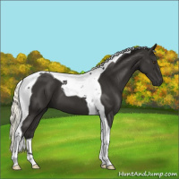 Horse Color:Liver Chestnut Mushroom Tobiano 