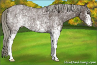 Horse Color:White Spotted Liver Red Roan Mushroom