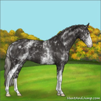 Horse Color:White Spotted Liver Chestnut Mushroom 