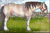 Horse Color:Nacre Bay Ice Onyx Rabicano 