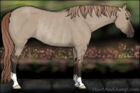 Horse Color:Liver Red Dun Rabicano 