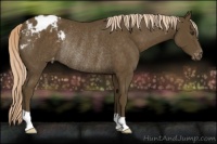 Horse Color:Chocolate Palomino Varnish Rabicano 