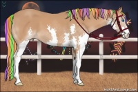 Horse Color:Painted Chestnut Splash