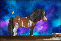 Horse Color:White Spotted Brown 