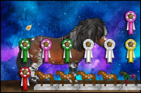 Horse Color:White Spotted Bay 