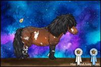 Horse Color:White Spotted Brown 