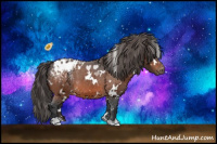 Horse Color:White Spotted Bay Appaloosa