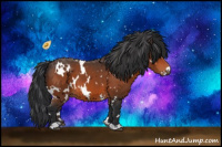 Horse Color:White Spotted Bay 