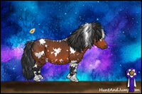 Horse Color:White Spotted Brown 