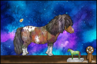 Horse Color:Nacre White Spotted Bay Appaloosa 