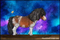 Horse Color:White Spotted Bay 