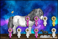 Horse Color:White Spotted Brown Chinchilla Appaloosa