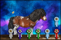 Horse Color:White Spotted Bay 