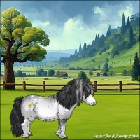 Horse Color:White Spotted Bay Chinchilla 