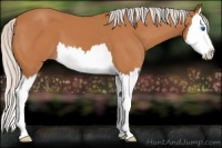 Horse Color:Silver Bay Splash