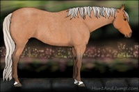 Horse Color:Silver Bay Roan