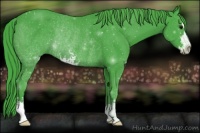 Horse Color:Watercolor Smoky Black Sabino Rabicano 