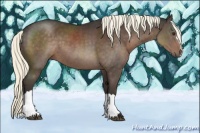 Horse Color:Liver Chestnut Mushroom 