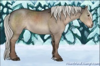 Horse Color:Liver Red Dun Mushroom 