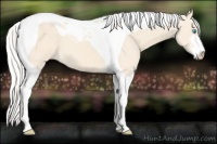 Horse Color:Silver Perlino Sabino Tobiano 