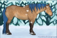 Horse Color:Painted Buckskin Dun 
