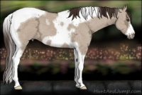 Horse Color:Liver Red Dun Ice Tobiano Frame