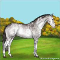 Horse Color:Platinum White Spotted Buckskin Onyx Splash Varnish 